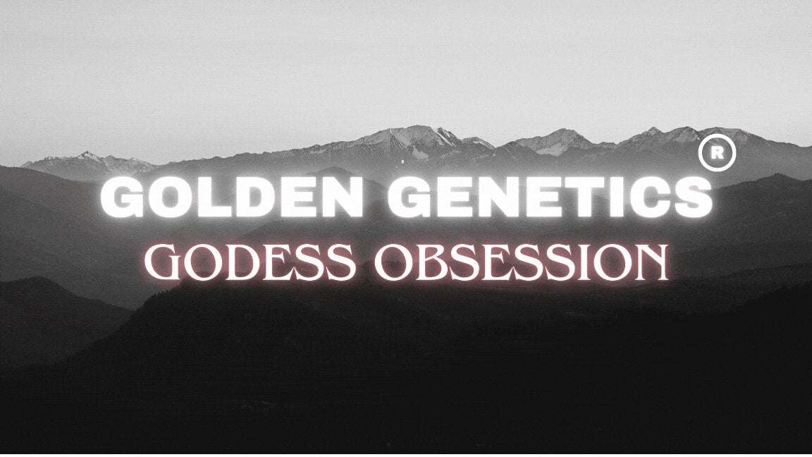 GODESS OBSESSION